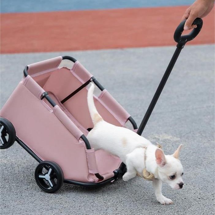 Cochecito para mascotas Perro Gato Carrito de transporte para mascotas pequeñas Plegable Portátil con almacenamiento